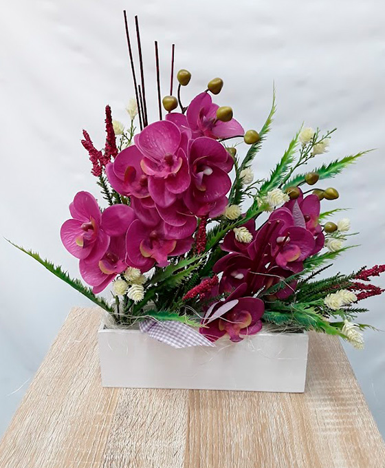 Orquídeas de regalo