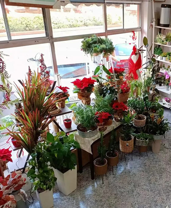 Envío de flores a domicilio