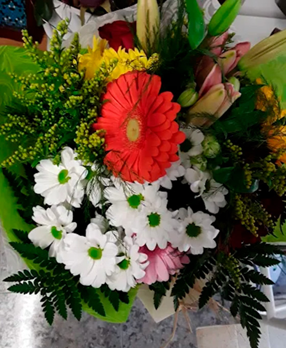 Ramo de gerberas y margaritas