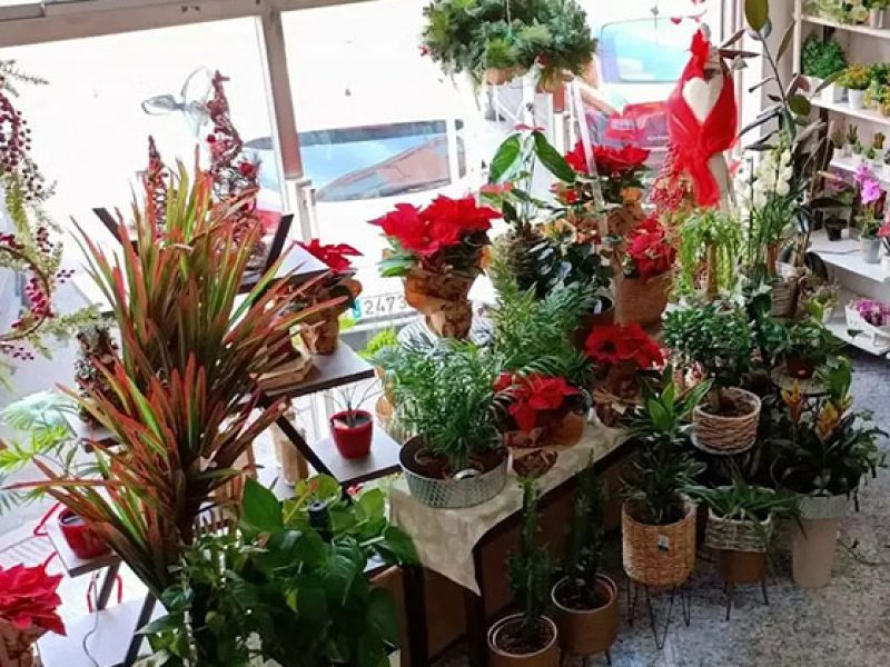 Envío de flores a domicilio